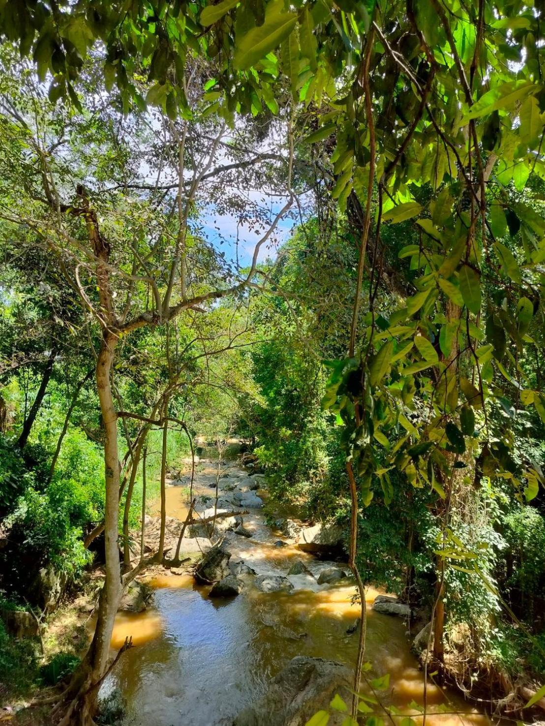 Maesa Greenery Hill Sha Mae Rim Εξωτερικό φωτογραφία