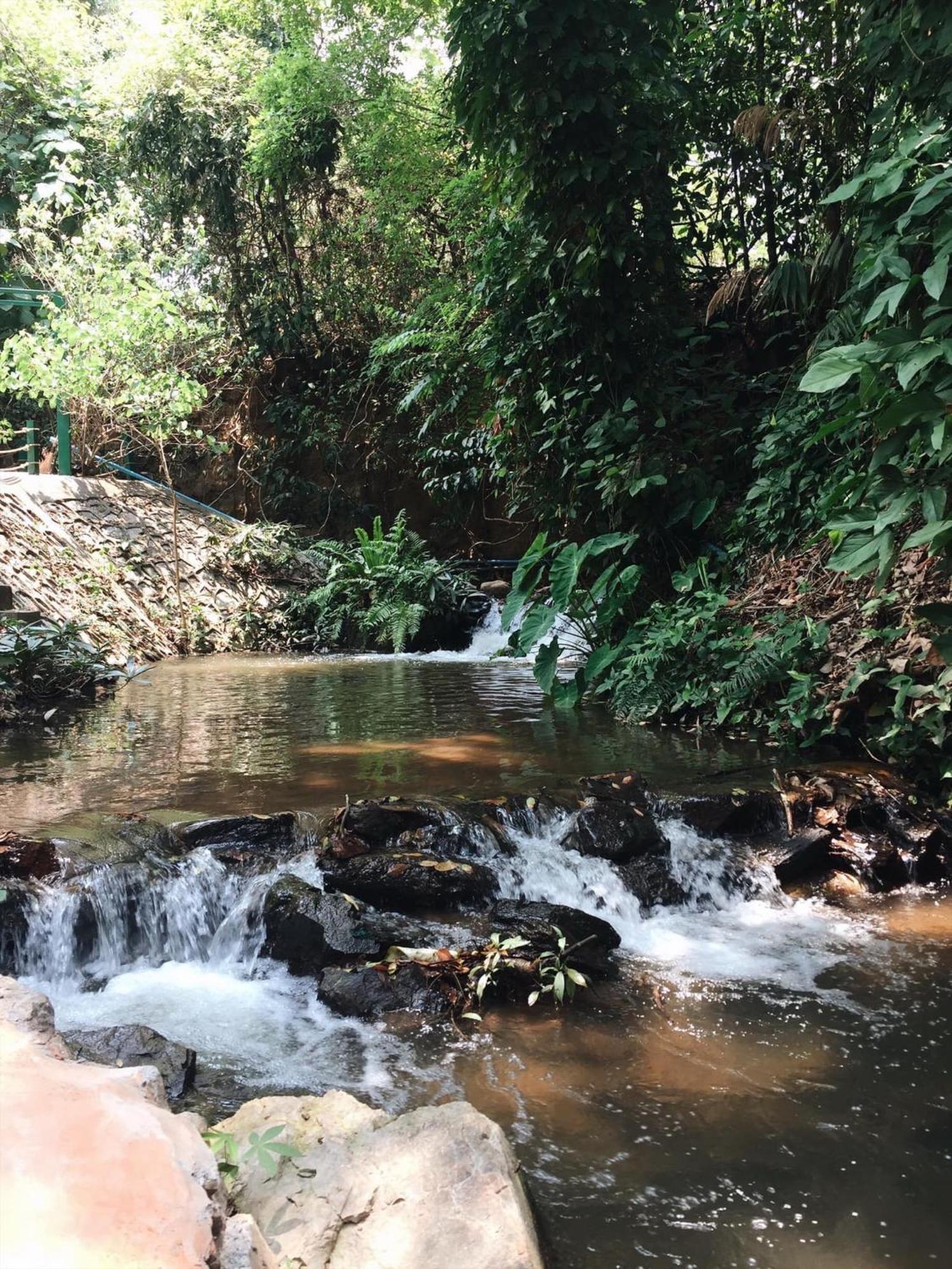 Maesa Greenery Hill Sha Mae Rim Εξωτερικό φωτογραφία