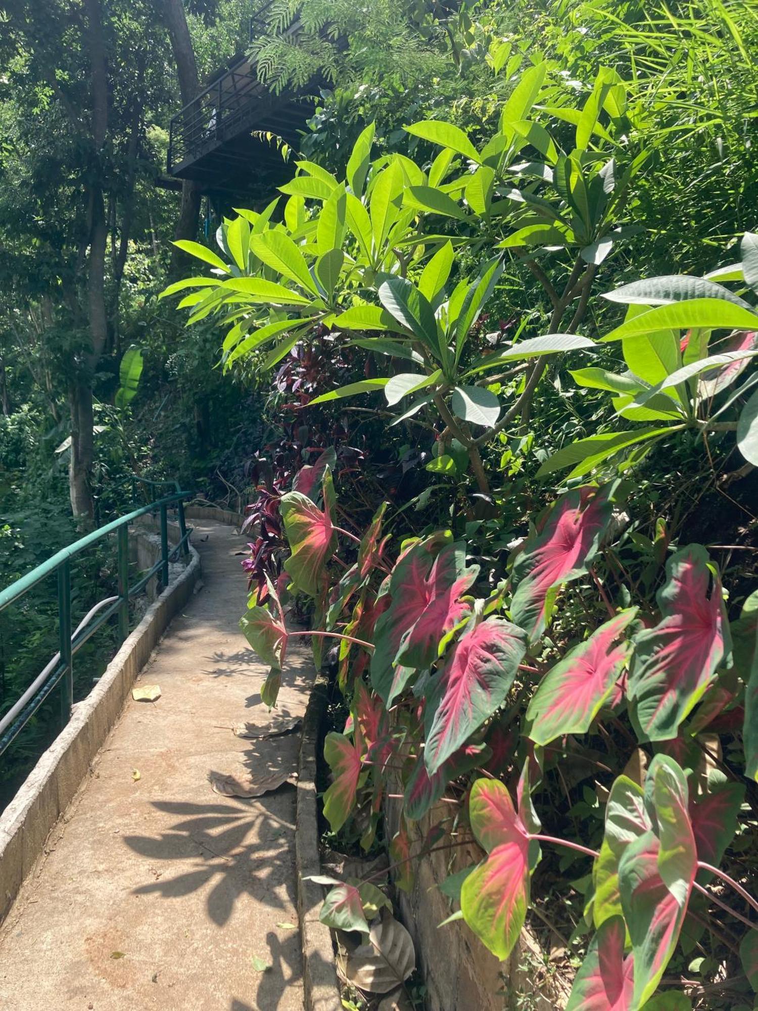 Maesa Greenery Hill Sha Mae Rim Εξωτερικό φωτογραφία